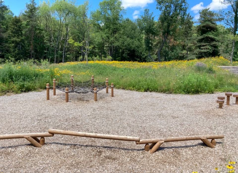 Meadow run and climb